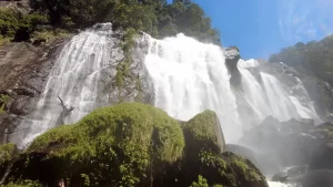 Trilha Cachoeira do Elefante