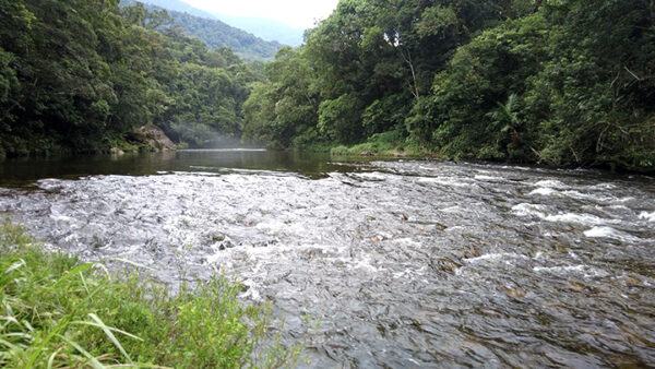 Cachoeira do Elefante - 05/01/2025 - Image 3