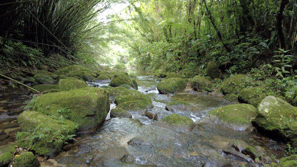 Cachoeira do Elefante - 05/01/2025 - Image 4